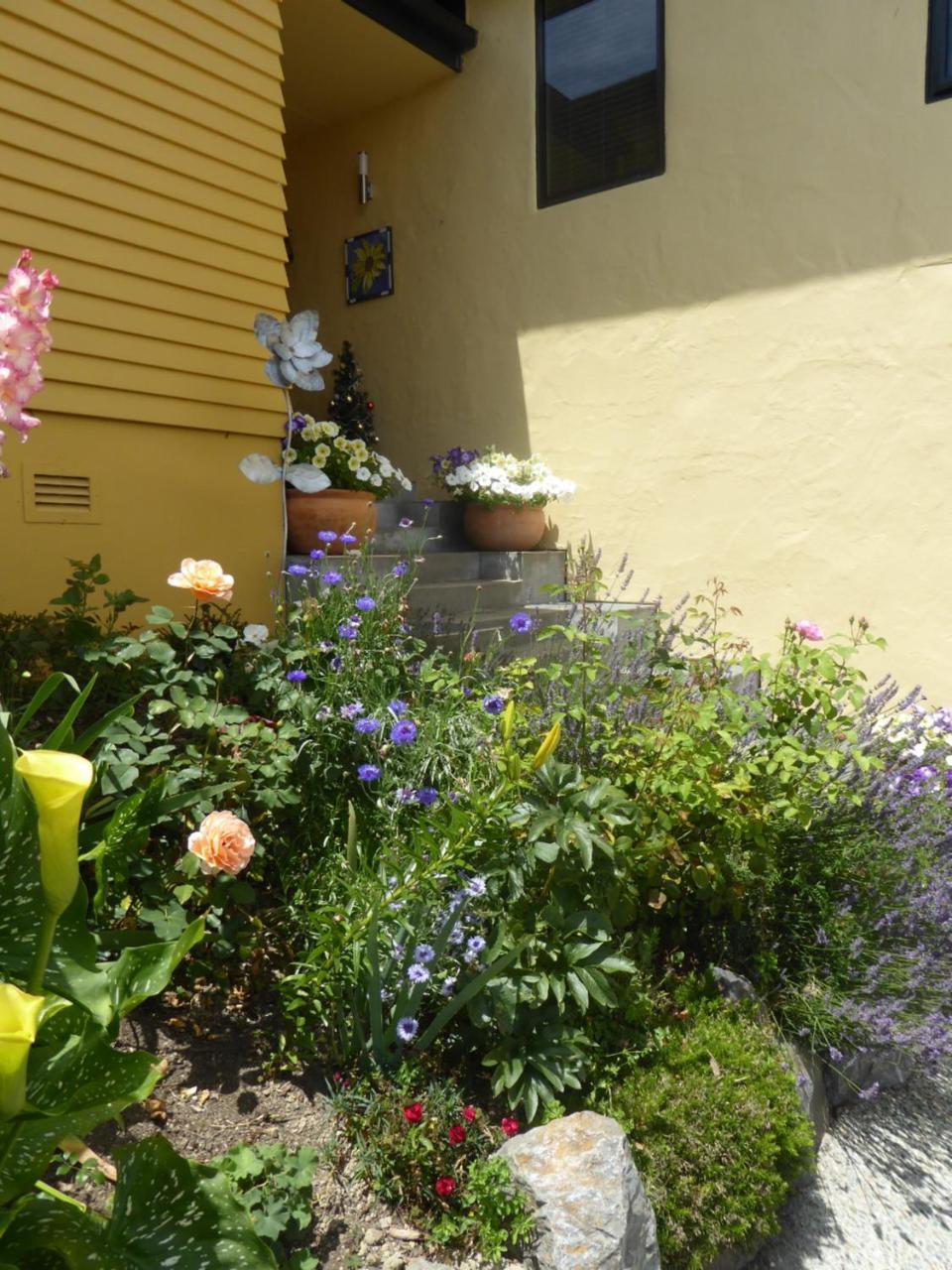 Bed and Breakfast Hazelwood Mapua Экстерьер фото
